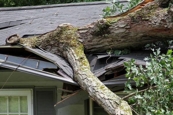 Storm Remediation in Panama City