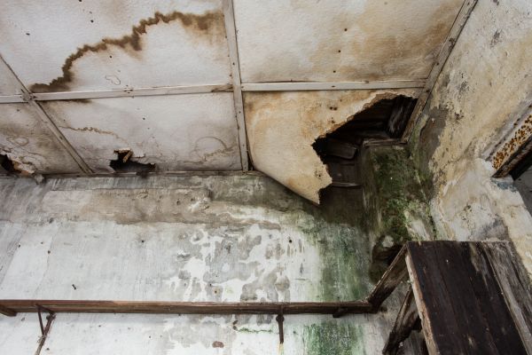 Water Damage Service in Panama City