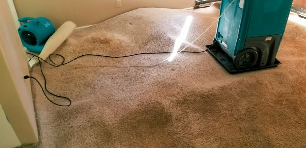 Flood Damage Cleanup in Panama City