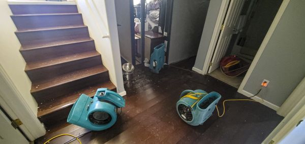 Water Damage Remediation in Panama City