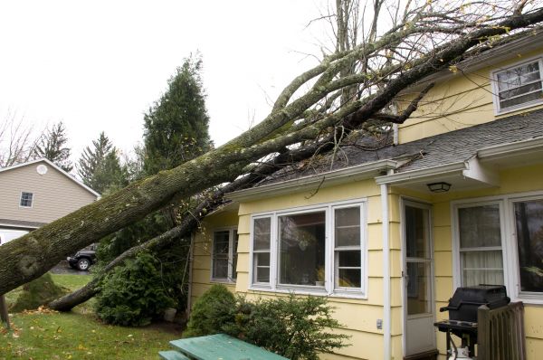 Hurricane Damage Repair in Panama City