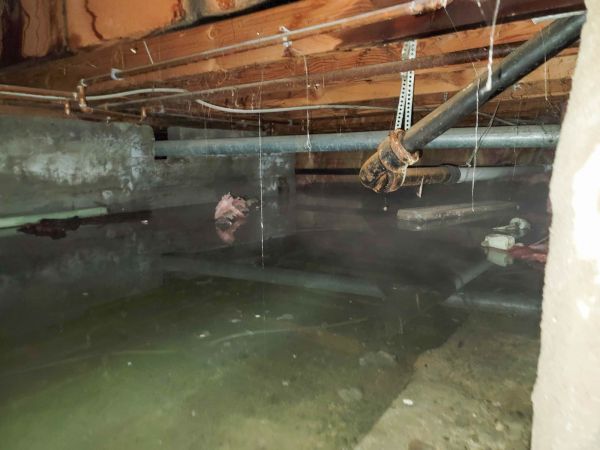 Crawlspace Water Restoration in Panama City